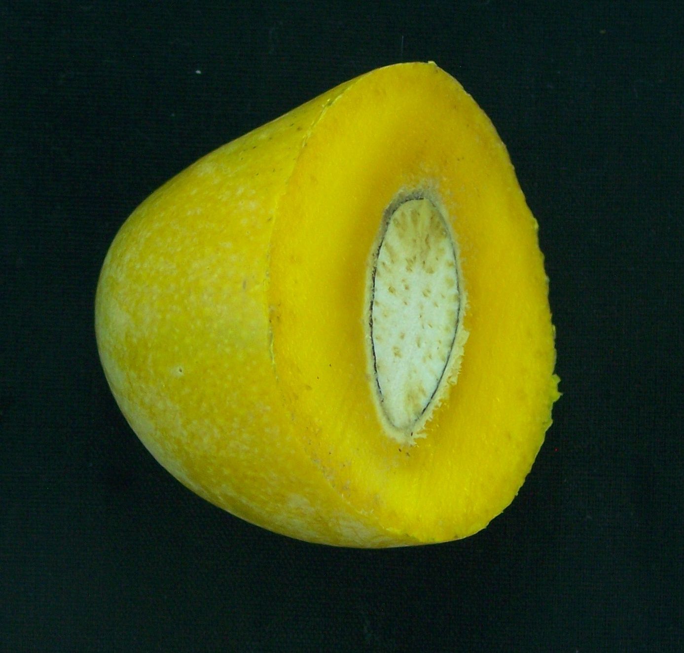 Gaurjit